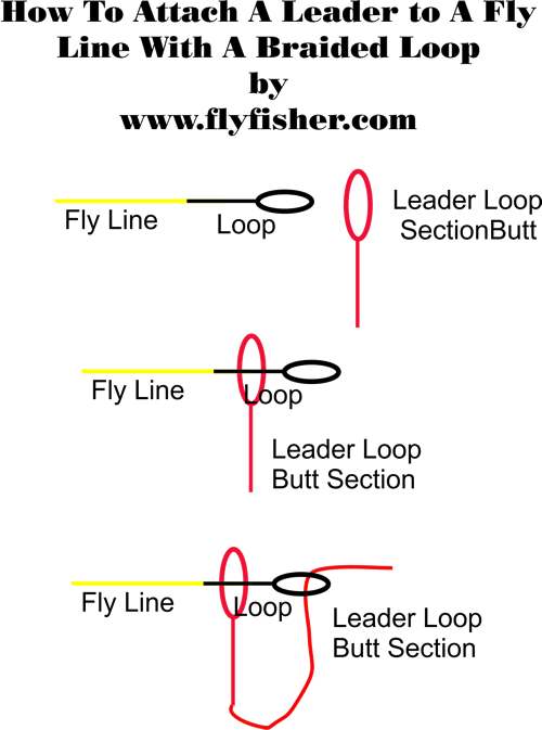 How To Attach A Leader to a Fly Line Loop